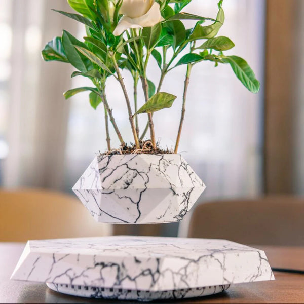 Floating Bonsai: Magnetic Levitation Flower Pot